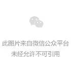 网联人事变更，董俊峰兼任董事长